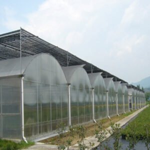 greenhouse